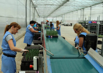 Νέο πρόγραμμα στήριξης με 135 εκατ. ευρώ για γεωργικά προϊόντα και μεταποίηση