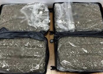 Συνελήφθη στο Ελ. Βενιζέλος γυναίκα με ναρκωτικά – Είχε βάλει σε δύο βαλίτσες 26 κιλά skunk