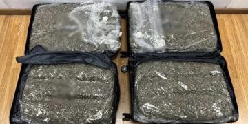 Συνελήφθη στο Ελ. Βενιζέλος γυναίκα με ναρκωτικά – Είχε βάλει σε δύο βαλίτσες 26 κιλά skunk