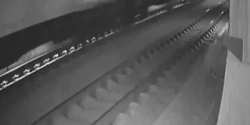 Τέμπη: Αυθεντικά τα βίντεο της εμπορικής αμαξοστοιχίας, λένε οι ειδικοί πραγματογνώμονες