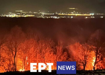 Σε ύφεση τα πέντε από τα επτά ενεργά μέτωπα στην Π.Ε. Καστοριάς
