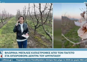 Φλώρινα: Στο Open οι μεγάλες καταστροφές από τον παγετό στα οπωροφόρα δέντρα (Βίντεο)