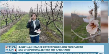 Φλώρινα: Στο Open οι μεγάλες καταστροφές από τον παγετό στα οπωροφόρα δέντρα (Βίντεο)
