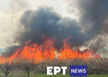 Μάχη με τις φλόγες στην Καστοριά – Έξι τα ενεργά μέτωπα