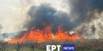 Μάχη με τις φλόγες στην Καστοριά – Έξι τα ενεργά μέτωπα