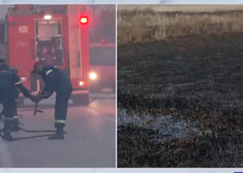 Έσβησε η φωτιά στην Καστοριά – Μάχη 60 πυροσβεστών και από Πτολεμαΐδα, Κοζάνη, Γρεβενά