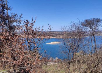 Εμφανίστηκε… βραχονησίδα στη Λίμνη Μαραθώνα – Τι δείχνουν τα στοιχεία για τα αποθέματα νερού στην Αττική