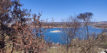 Εμφανίστηκε… βραχονησίδα στη Λίμνη Μαραθώνα – Τι δείχνουν τα στοιχεία για τα αποθέματα νερού στην Αττική