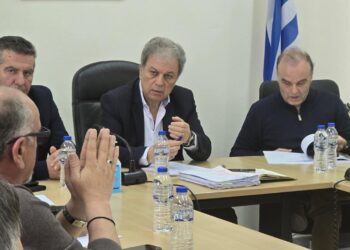 Στήριξη στους Δασικούς Συνεταιρισμούς Δυτικής Μακεδονίας – Συνάντηση Γ. Αμανατίδη με τους εκπροσώπους