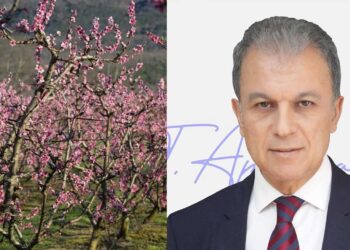 Ο Περιφερειάρχης Γ. Αμανατίδης για τις ενέργειες που γίνονται μετά τις καταστροφές που υπέστησαν οι δενδροκαλλιεργητές