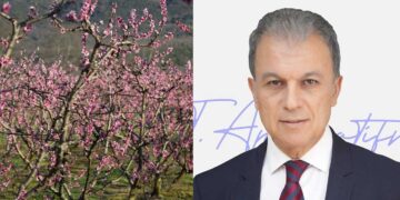 Ο Περιφερειάρχης Γ. Αμανατίδης για τις ενέργειες που γίνονται μετά τις καταστροφές που υπέστησαν οι δενδροκαλλιεργητές