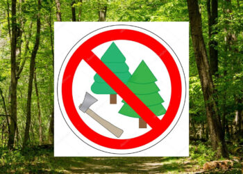 Δήμος Βοΐου: Απαγόρευση ξύλευσης – Τοποθετήθηκαν κάμερες επιτήρησης