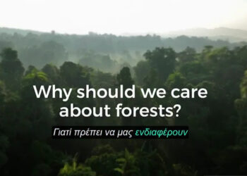 Δράσεις στη Δυτική Μακεδονία εν όψει της Παγκόσμιας Ημέρας Δασών 2025 (21 Μαρτίου)