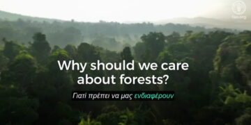 Δράσεις στη Δυτική Μακεδονία εν όψει της Παγκόσμιας Ημέρας Δασών 2025 (21 Μαρτίου)