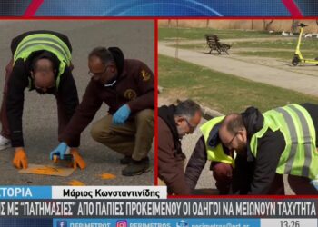 Καστοριά: Έφτιαξαν διαβάσεις πτηνών στη Λεωφόρο Κύκνων (Βίντεο)