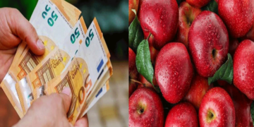 Ξεκίνησε η υποβολή αιτήσεων των μηλοπαραγωγών της Δυτ. Μακεδονίας για τις αποζημιώσεις του 2023 από τον ΕΛΓΑ