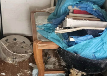 Σοκ στα Εξάρχεια: 66χρονη ζούσε επί 20 ημέρες με τη σορό της μητέρας της και δεκάδες γάτες (εικόνες)