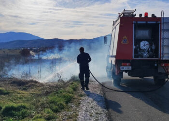 Φωτιά στην Ολυμπιάδα Εορδαίας – Άμεση επέμβαση της Πυροσβεστικής