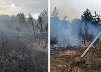 Εικόνες από τη φωτιά στη Βλάστη – Τι άφησε πίσω της