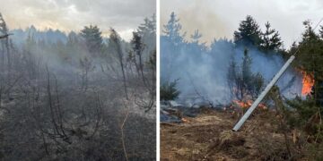 Εικόνες από τη φωτιά στη Βλάστη – Τι άφησε πίσω της