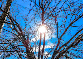 Καιρός: Πότε έρχονται 20άρια και ηλιοφάνεια – Η ανάρτηση Τσατραφύλλια
