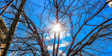 Καιρός: Πότε έρχονται 20άρια και ηλιοφάνεια – Η ανάρτηση Τσατραφύλλια