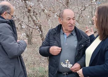 Καλλιόπη Βέττα: «Για μια ακόμη χρονιά οι δενδροκαλλιεργητές της Π.Ε. Κοζάνης βρίσκονται στο έλεος της κακοκαιρίας, χωρίς καμία οικονομική ενίσχυση»