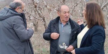 Καλλιόπη Βέττα: «Για μια ακόμη χρονιά οι δενδροκαλλιεργητές της Π.Ε. Κοζάνης βρίσκονται στο έλεος της κακοκαιρίας, χωρίς καμία οικονομική ενίσχυση»