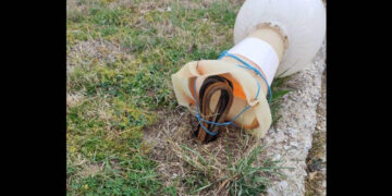 Μήνυμα αναγνώστη: Εγκαταλελειμμένοι φωταγωγοί, κίνδυνος για τα παιδιά (Φωτογραφίες)