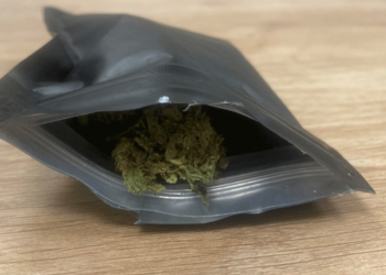 Συνελήφθη στην Καστοριά 24χρονος που είχε στην κατοχή του 7 γραμμάρια κάνναβης