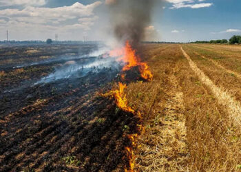 Σύλληψη στο Μηλοχώρι Εορδαίας για φωτιά χωρίς μέτρα πυρασφάλειας – Και πρόστιμο 1.185 ευρώ