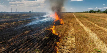 Σύλληψη στο Μηλοχώρι Εορδαίας για φωτιά χωρίς μέτρα πυρασφάλειας – Και πρόστιμο 1.185 ευρώ