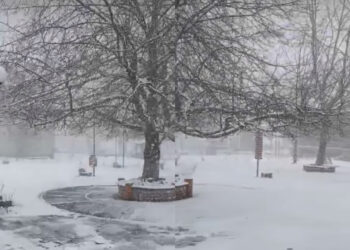 Χιονισμένο τοπίο στην Κοτύλη Καστοριάς – “Το ‘στρωσε” για τα καλά (Βίντεο)