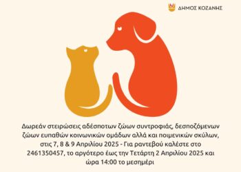 Δήμος Κοζάνης: Δωρεάν στειρώσεις αδέσποτων και δεσποζόμενων ζώων στις 7, 8 & 9 Απριλίου