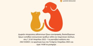 Δήμος Κοζάνης: Δωρεάν στειρώσεις αδέσποτων και δεσποζόμενων ζώων στις 7, 8 & 9 Απριλίου