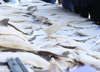 Προσοχή στην αγορά μπακαλιάρου για την 25η Μαρτίου – Τι είναι το λίνγκ και πώς να μην ξεγελαστείτε