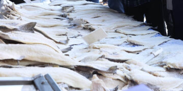 Προσοχή στην αγορά μπακαλιάρου για την 25η Μαρτίου – Τι είναι το λίνγκ και πώς να μην ξεγελαστείτε