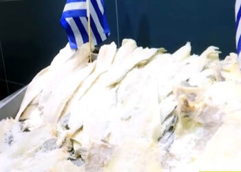 Φρέσκος μπακαλιάρος από 15 ευρώ το κιλό – Πόσο κοστίζει ο παστός και τα υπόλοιπα είδη