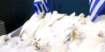Φρέσκος μπακαλιάρος από 15 ευρώ το κιλό – Πόσο κοστίζει ο παστός και τα υπόλοιπα είδη