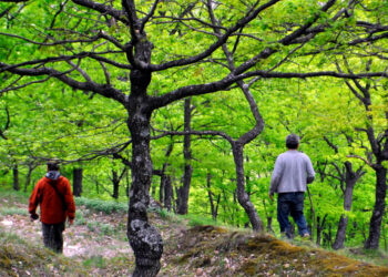 Πεζοπορική διαδρομή από Λιμνοχώρι έως Νυμφαίο  διοργανώνει η Ορειβατική Λέσχη Πτολεμαΐδας
