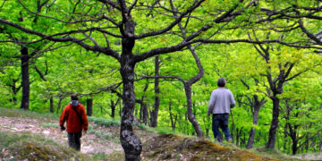 Πεζοπορική διαδρομή από Λιμνοχώρι έως Νυμφαίο  διοργανώνει η Ορειβατική Λέσχη Πτολεμαΐδας