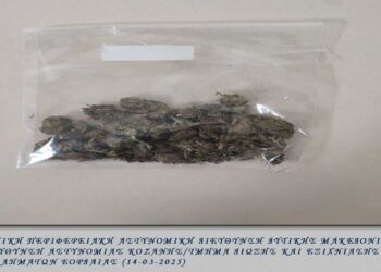 Πτολεμαΐδα: Συνελήφθη 46χρονος με 11 γραμμάρια κάνναβης