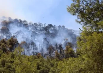 17 πυρκαγιές στη Δυτική Μακεδονία το 2025