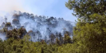 17 πυρκαγιές στη Δυτική Μακεδονία το 2025