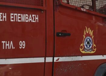 Σε δύο μέτωπα η φωτιά στη Βλάστη – Τέθηκε υπό έλεγχο