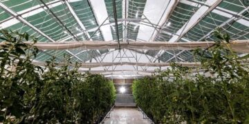 Υπεγράφη η απόφαση για το πλαίσιο εφαρμογής του προγράμματος ενίσχυσης των θερμοκηπιακών καλλιεργειών -Σύντομα η πρόσκληση εκδήλωσης ενδιαφέροντος