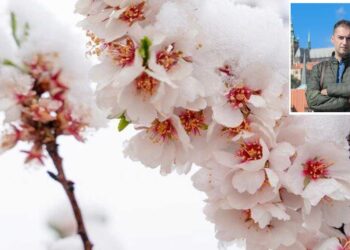 Γ. Βασιλειάδης: Τη μεγαλύτερη “θερμοκρασιακή καταβύθιση” θα δει η Δυτική Μακεδονία αύριο