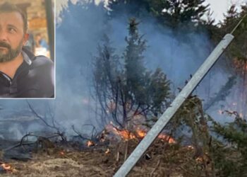 Βλάστη: «Άμεσα χρειάζεται αραίωση του πευκοδάσους – Να γίνουν αντιπυρικές ζώνες»