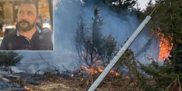 Βλάστη: «Άμεσα χρειάζεται αραίωση του πευκοδάσους – Να γίνουν αντιπυρικές ζώνες»