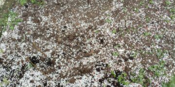 Καιρική αστάθεια στην περιοχή – Έπεσε χαλάζι στο Λέχοβο (φωτο)